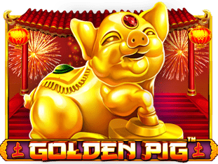 Golden Pig